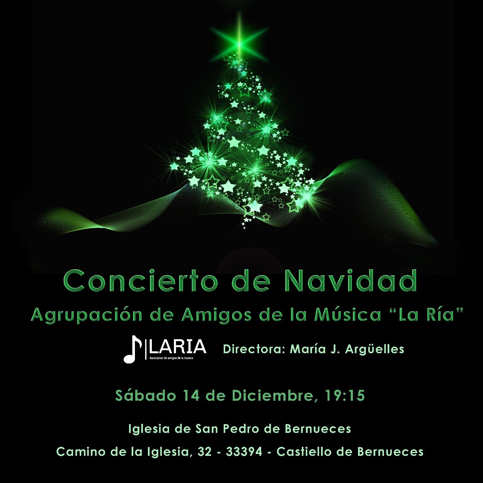 Lee más sobre el artículo Concierto de Navidad de la Agrupación de Amigos de la Música «La Ría»