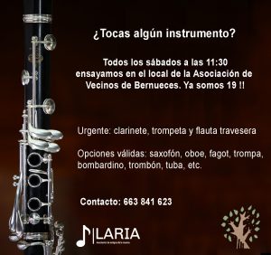 Lee más sobre el artículo ¡Únete a la Banda de la Asociación de Amigos de la Música de La Ría!