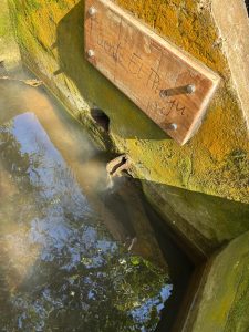 Fuente El Pioyu vuelve a brotar agua